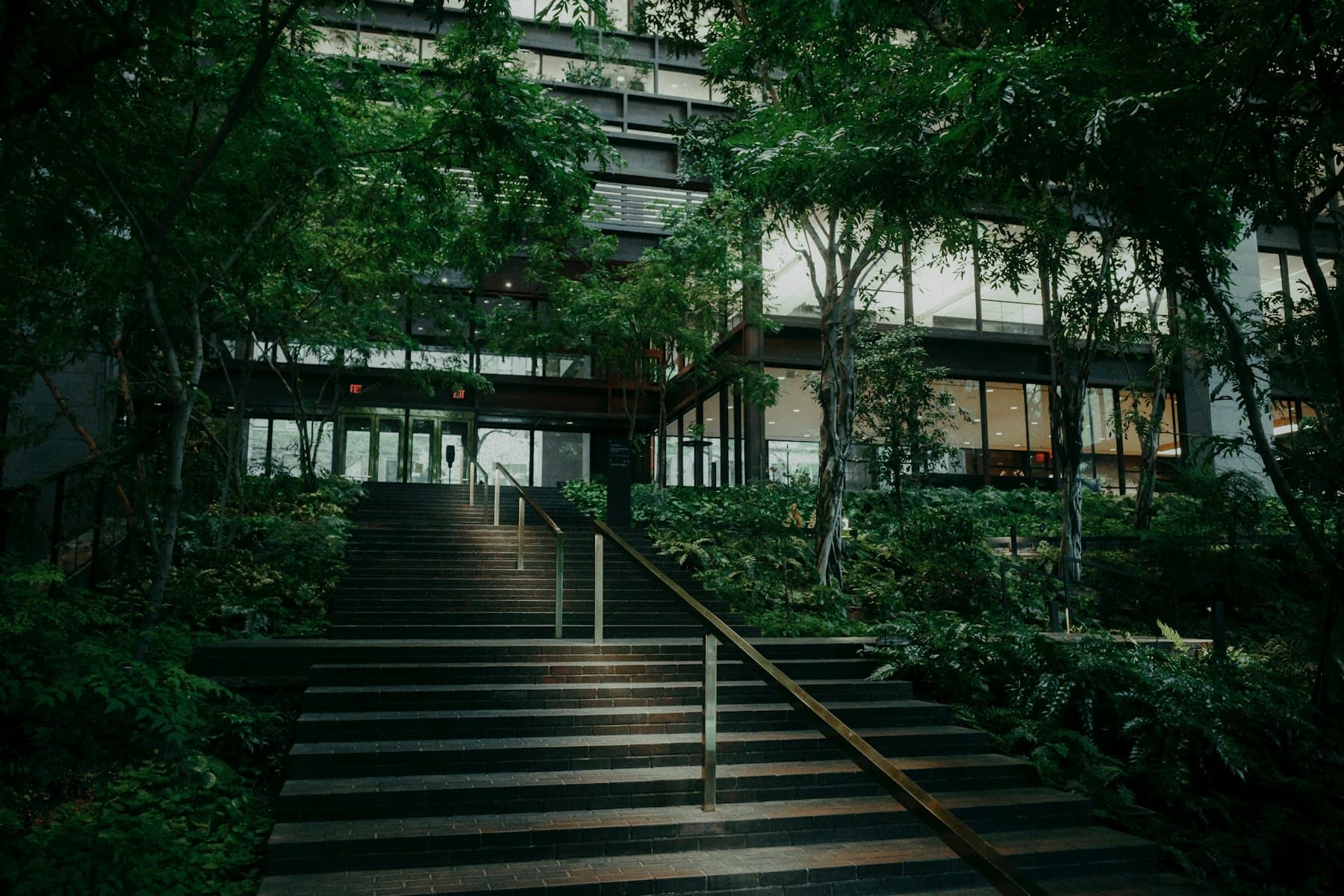 Steps leading up to a modern building entrance surrounded by lush green trees