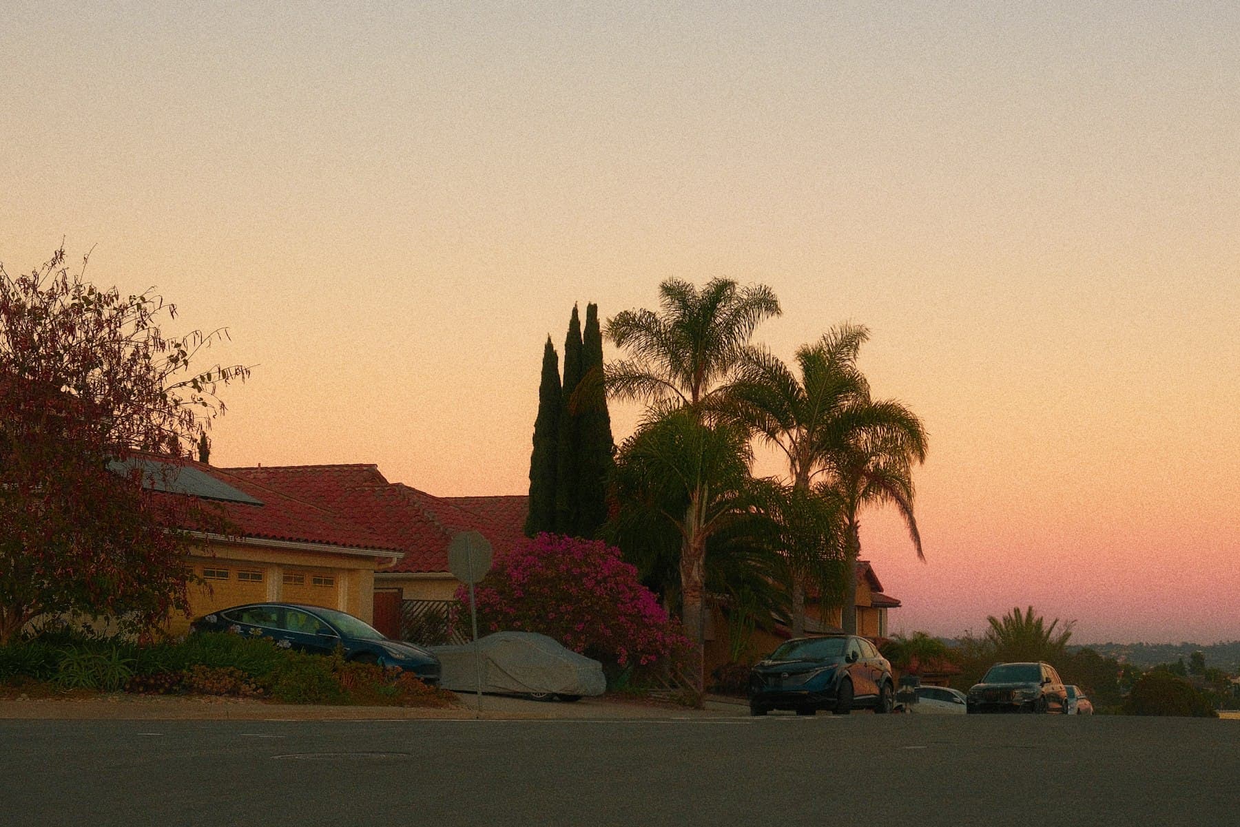 Quiet residential street with palm trees and houses under a warm sunset